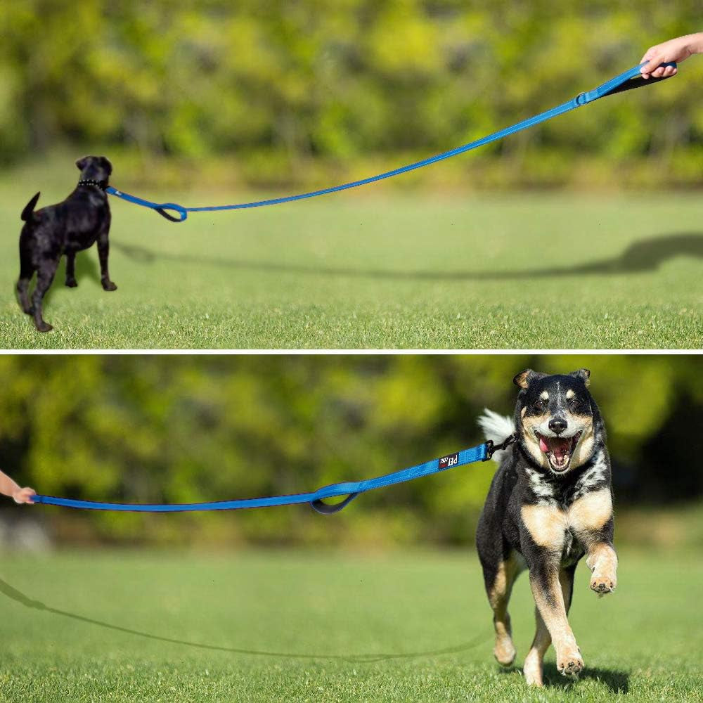 Double Handle Dog Leash, 6 FT Long, for Medium Large Dogs | Reflective Nylon, Soft Padded 2 Handles, Heavy Duty for Training, Dual Handle Lead, 6 FT X 1”, Light Blue