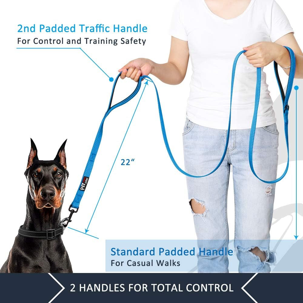 Double Handle Dog Leash, 6 FT Long, for Medium Large Dogs | Reflective Nylon, Soft Padded 2 Handles, Heavy Duty for Training, Dual Handle Lead, 6 FT X 1”, Light Blue