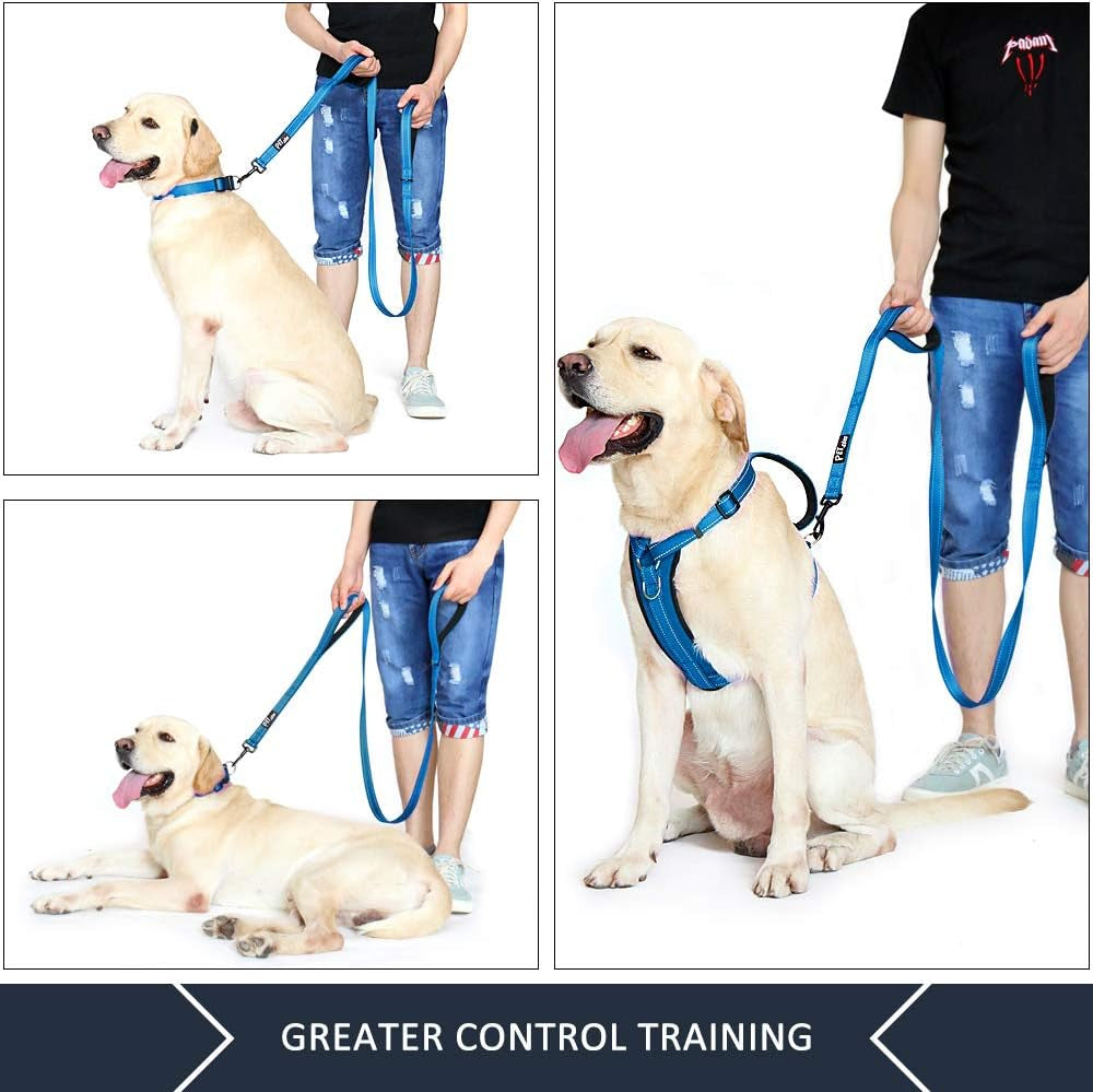 Double Handle Dog Leash, 6 FT Long, for Medium Large Dogs | Reflective Nylon, Soft Padded 2 Handles, Heavy Duty for Training, Dual Handle Lead, 6 FT X 1”, Light Blue
