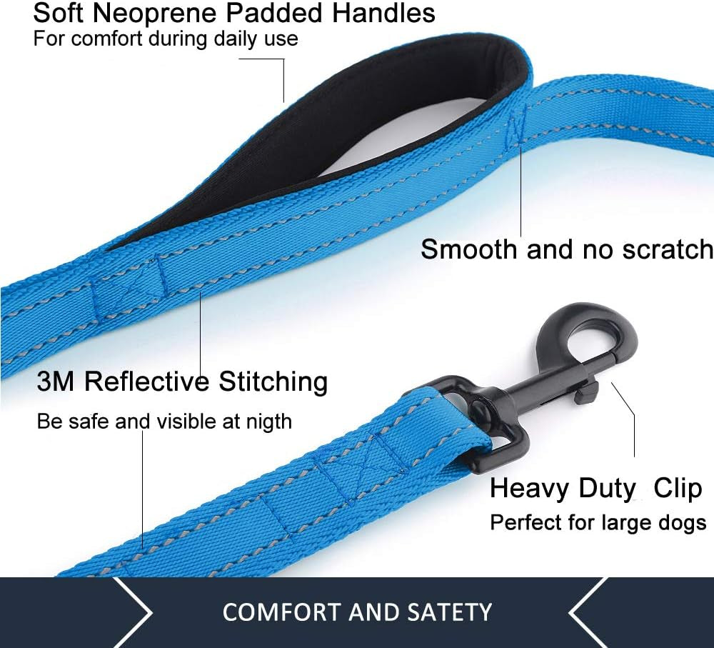 Double Handle Dog Leash, 6 FT Long, for Medium Large Dogs | Reflective Nylon, Soft Padded 2 Handles, Heavy Duty for Training, Dual Handle Lead, 6 FT X 1”, Light Blue