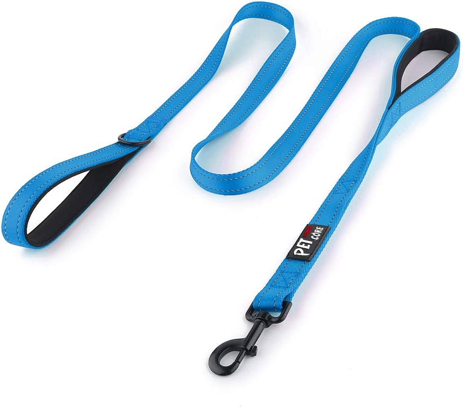 Double Handle Dog Leash, 6 FT Long, for Medium Large Dogs | Reflective Nylon, Soft Padded 2 Handles, Heavy Duty for Training, Dual Handle Lead, 6 FT X 1”, Light Blue