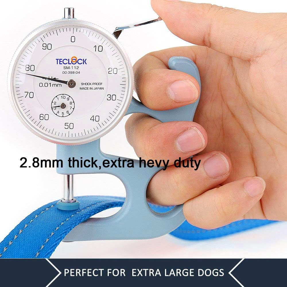 Double Handle Dog Leash, 6 FT Long, for Medium Large Dogs | Reflective Nylon, Soft Padded 2 Handles, Heavy Duty for Training, Dual Handle Lead, 6 FT X 1”, Light Blue